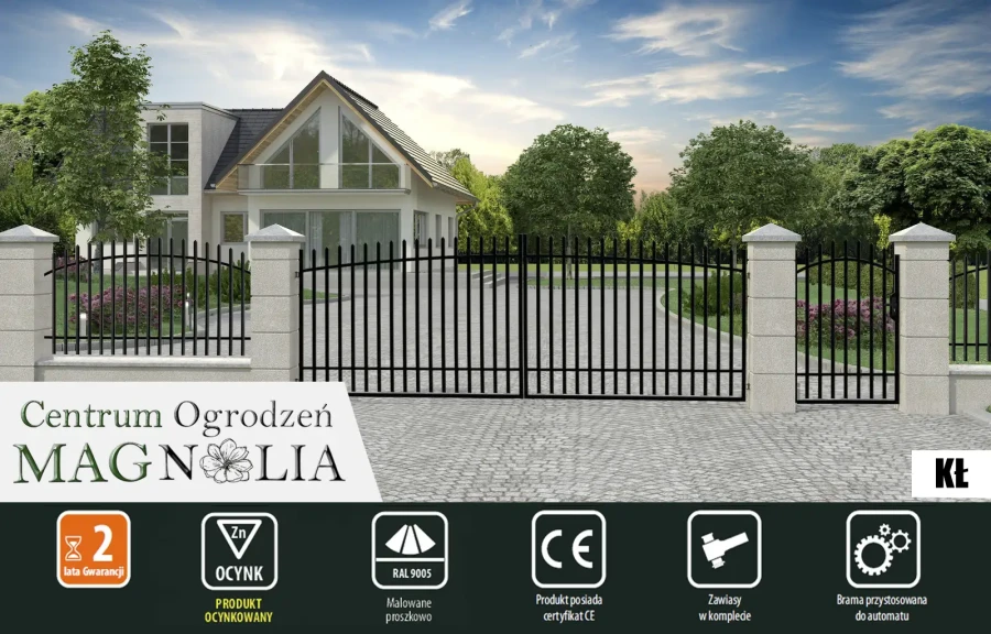 W WIZUALIZACJA KŁ.webp